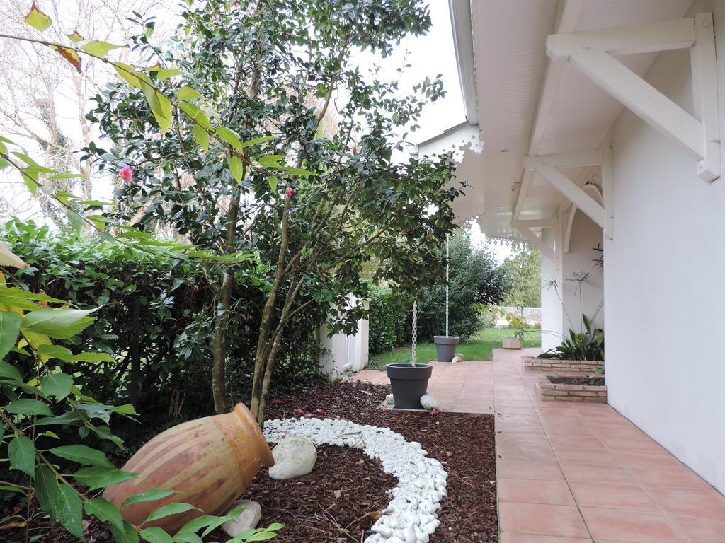 Chambres D'Hotes Villa La Louisiane Арес Екстериор снимка